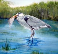 Aquarium Ecology Mural: Aquarium Great Blue Heron